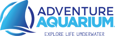 Adventure Aquarium